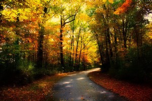 4215669914_59f859dd60_z